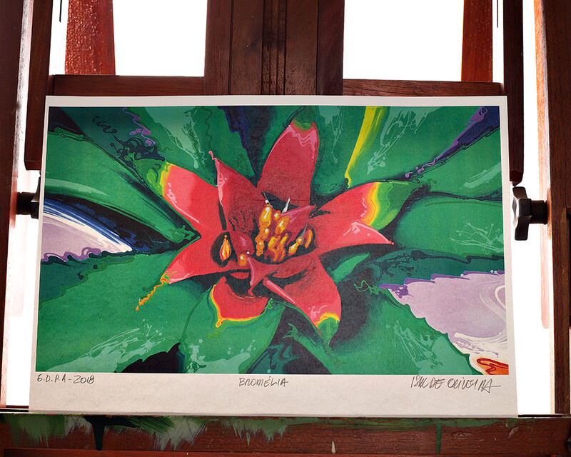 Gravura  Assinatura Original Bromélia 01