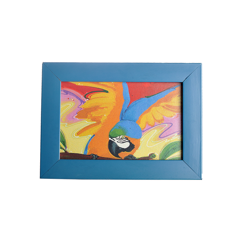 Mini Quadro Arara Canindé Moldura Azul