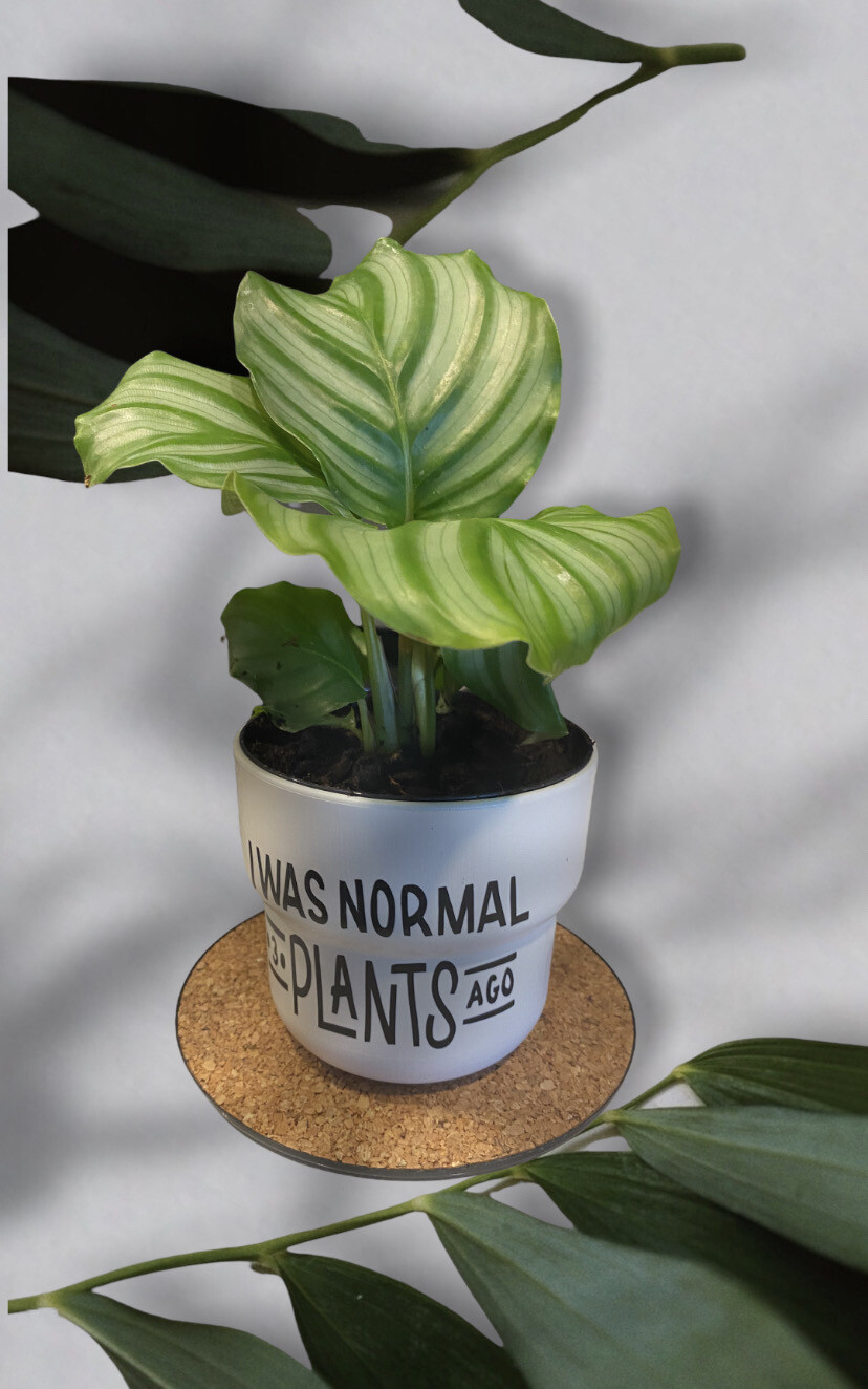 Planter