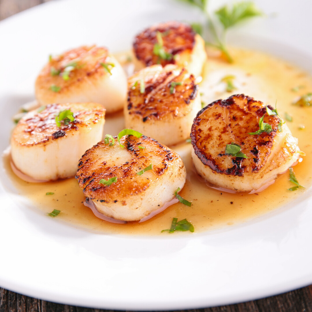 Deep Sea Scallops (frozen)