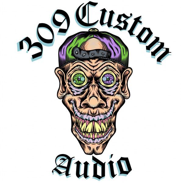 309 Custom Audio