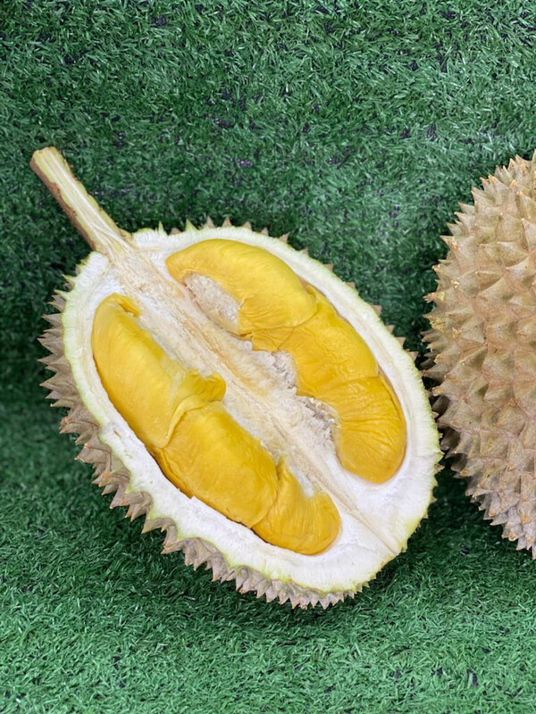 10KG FRESH Musang King Premium Old Tree