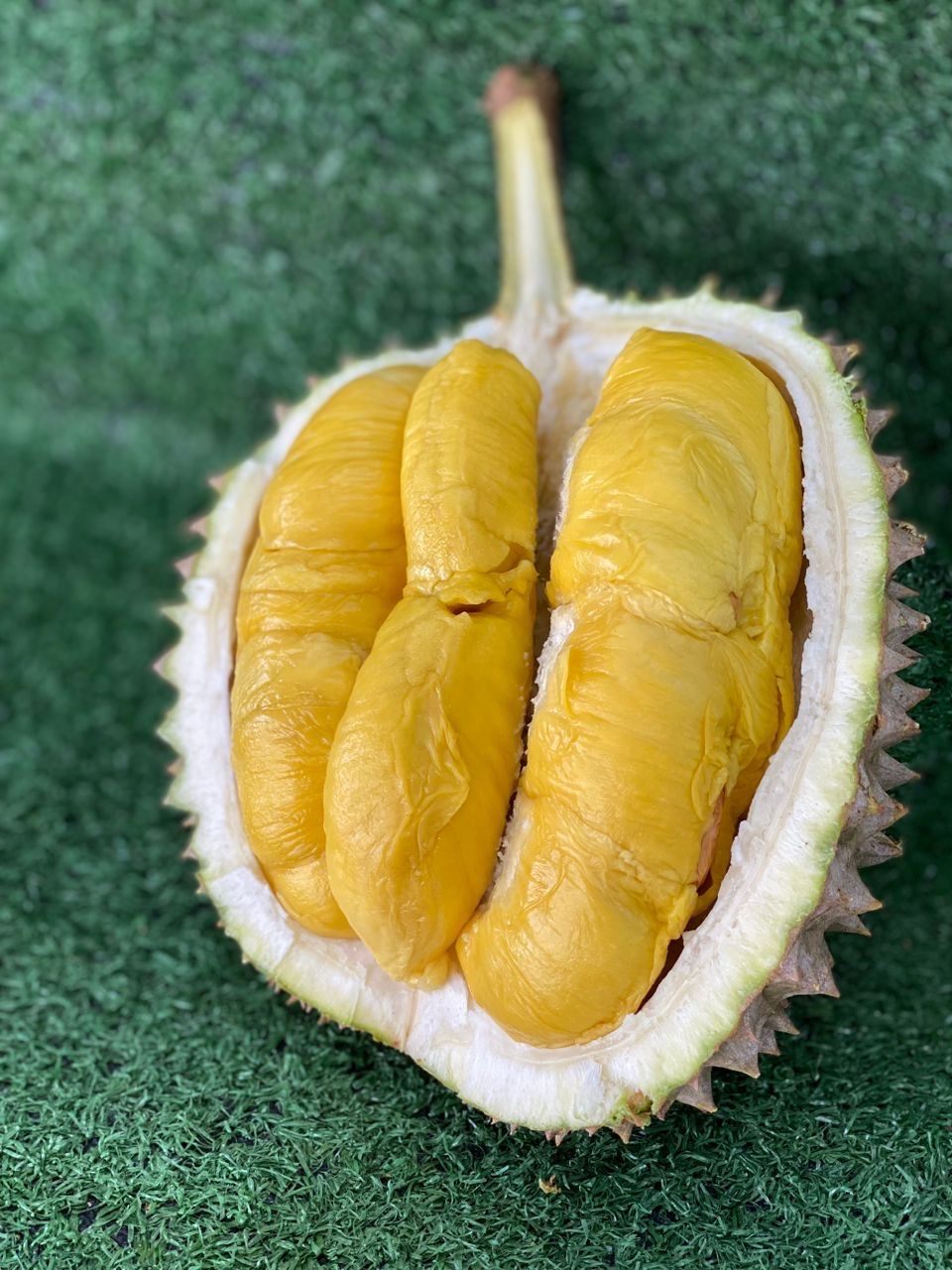 10KG FRESH Musang King AA Grade