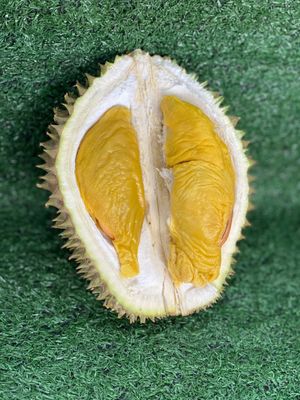 Musang King