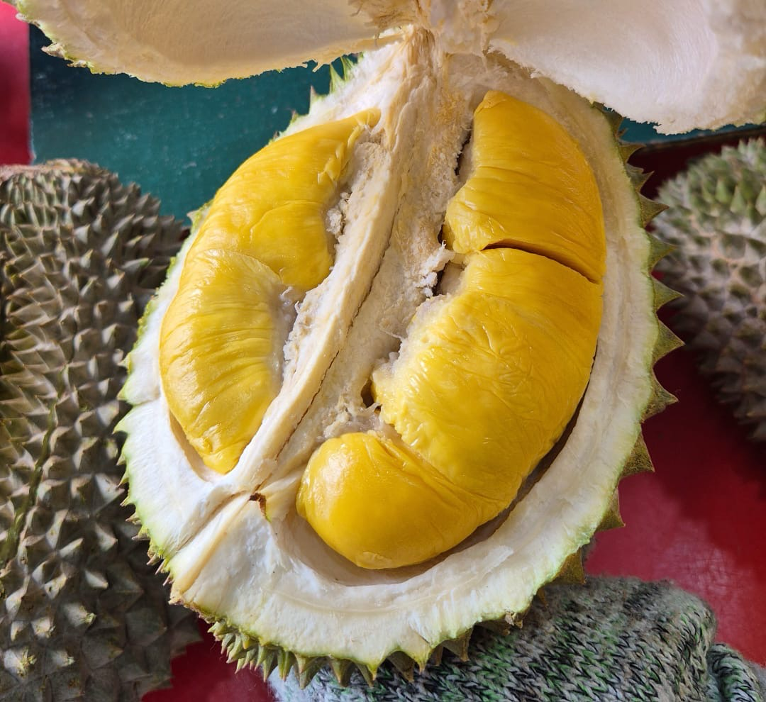 40KG FRESH Musang King Premium Grade A
