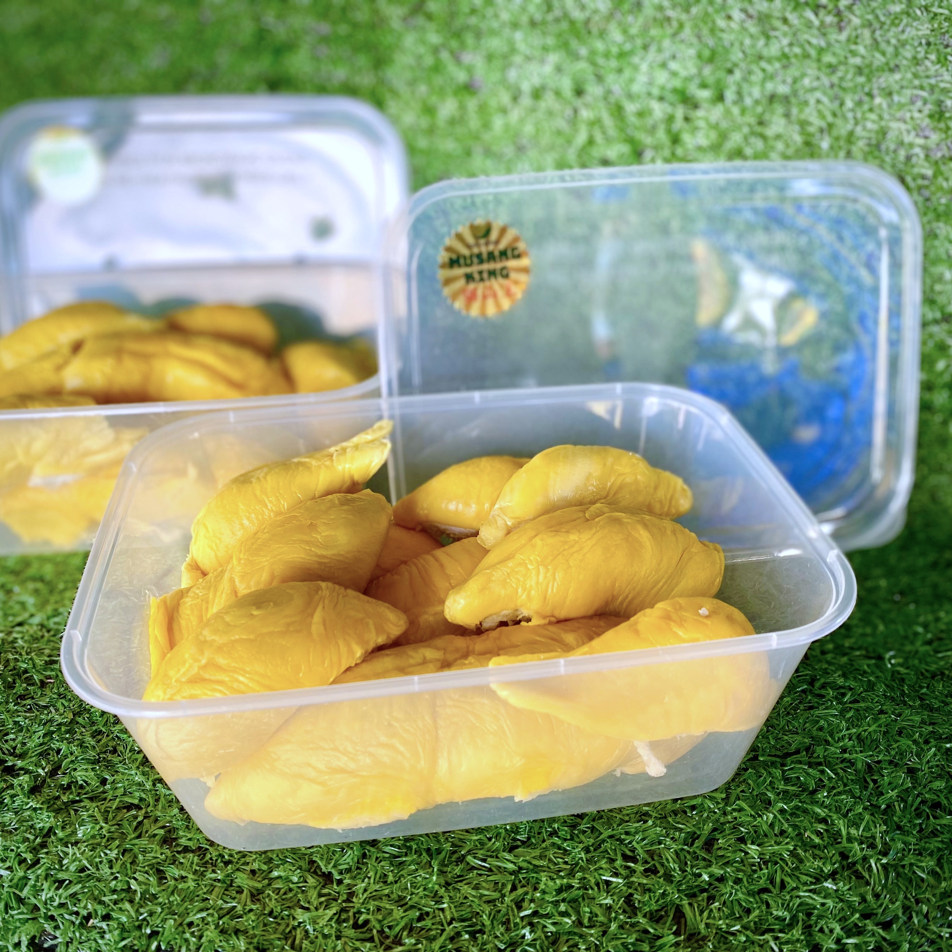 5KG FRESH Musang King Old Tree