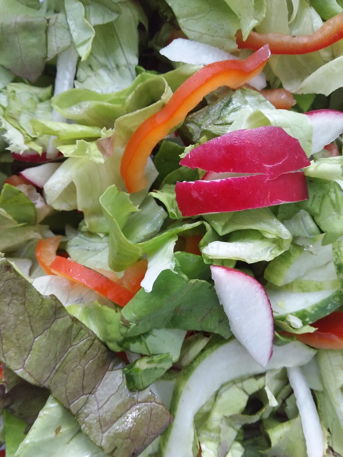 Flavrgourmet Bright Summer Salad