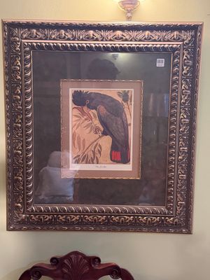 Parrot  Litho