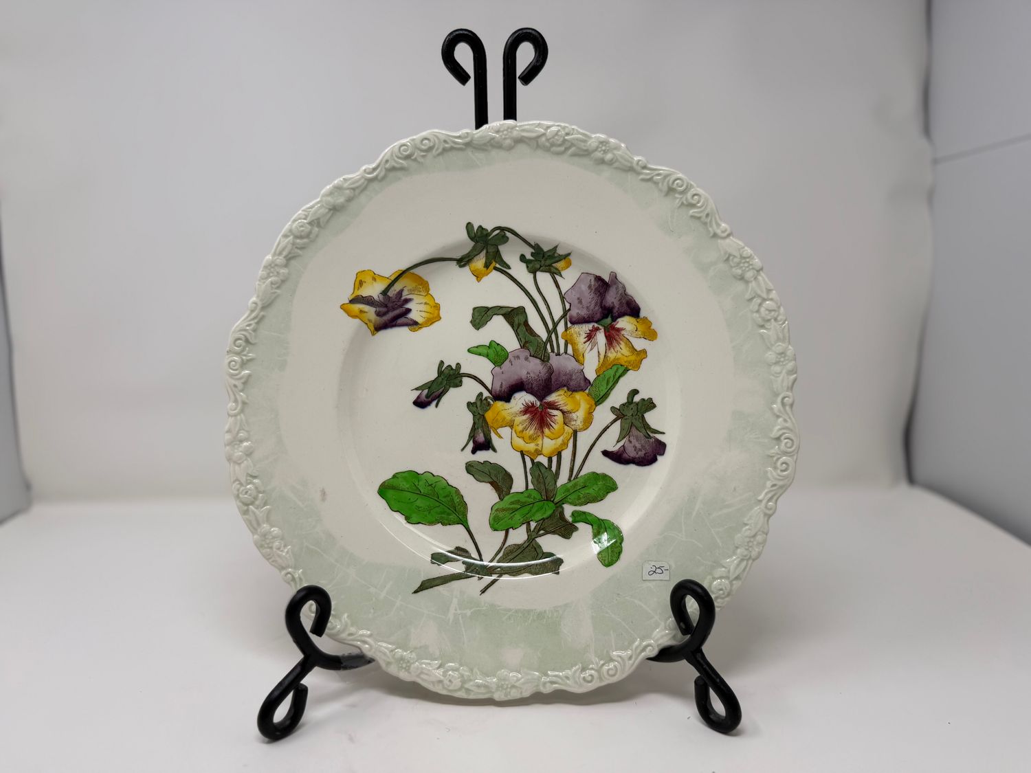 Cauldron England Pansies