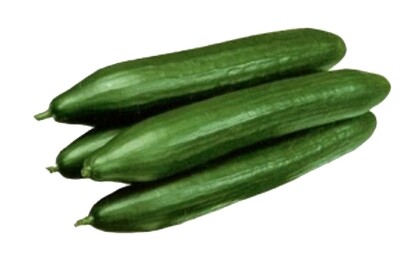 Concombre Vert (ut)