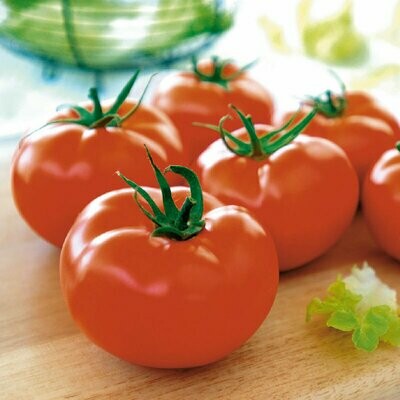 Tomate salade (500g)