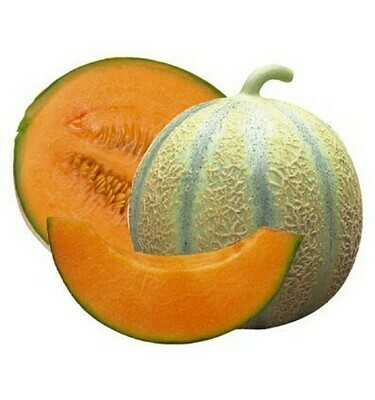 Melon Charentais (kg)