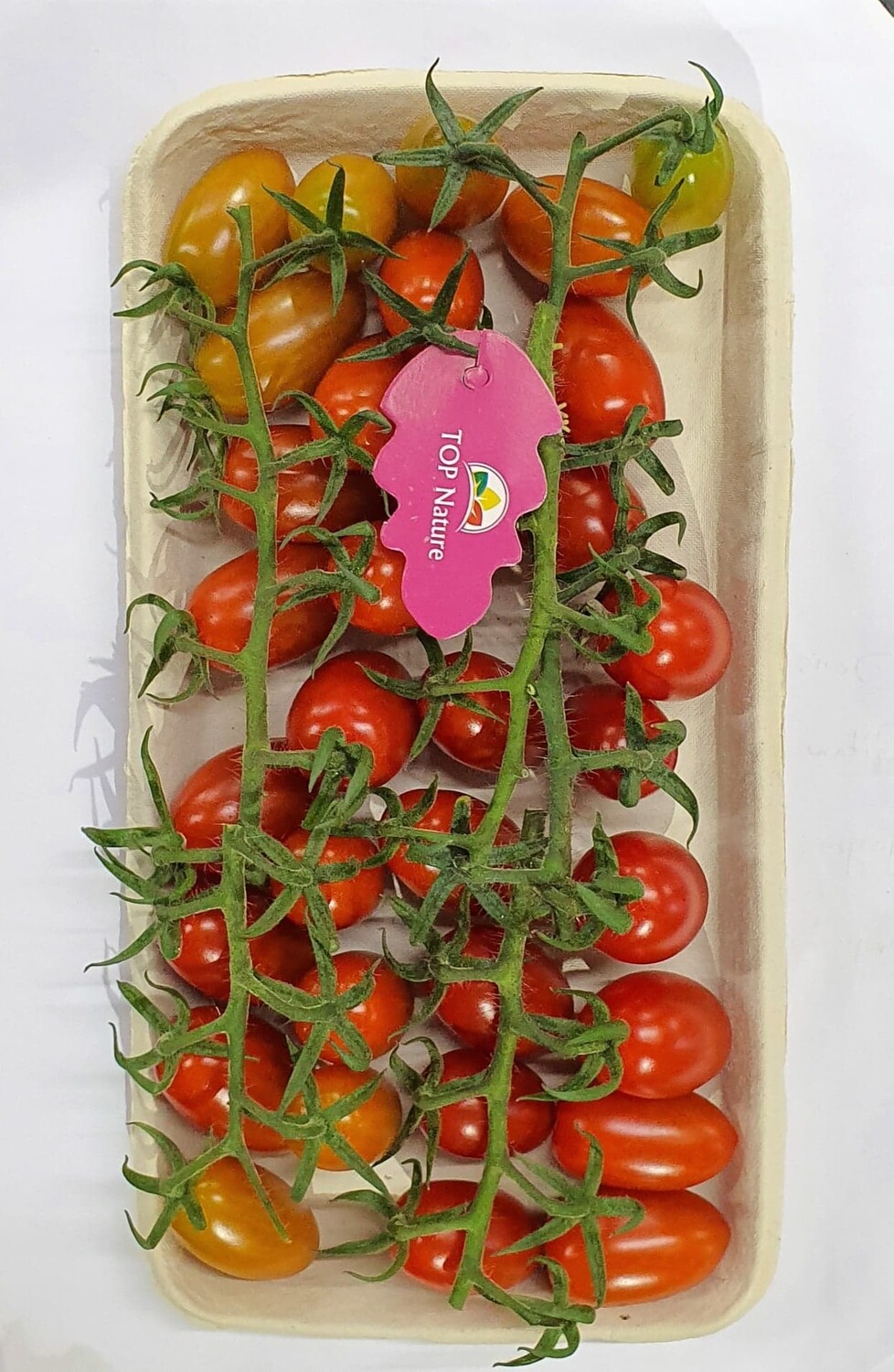 Bonbons branchées rouges (400g)