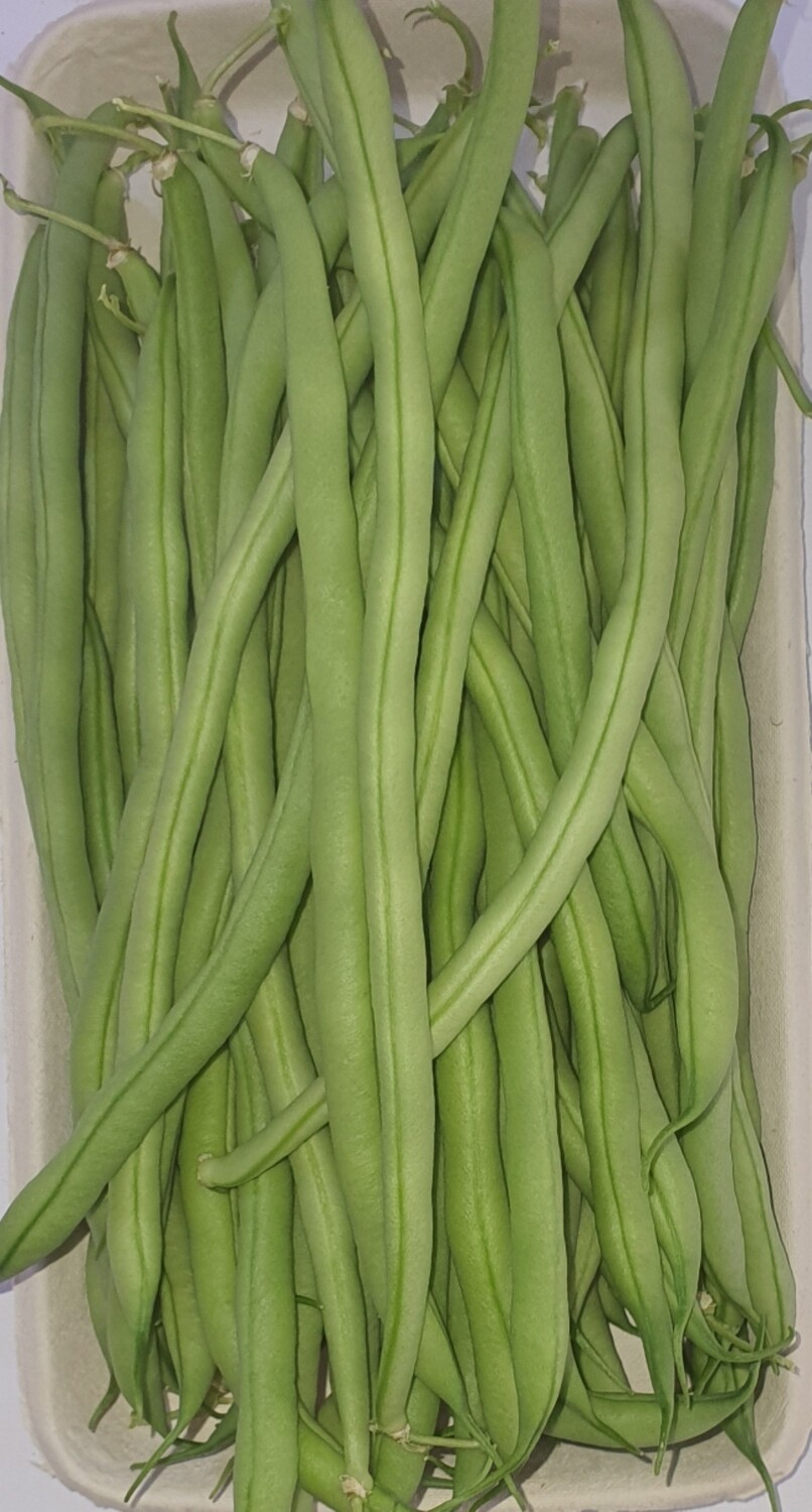 Haricots sans fil ZERO pesticide(500g)