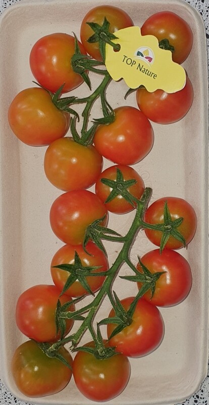 Cerises Branchées (400g)