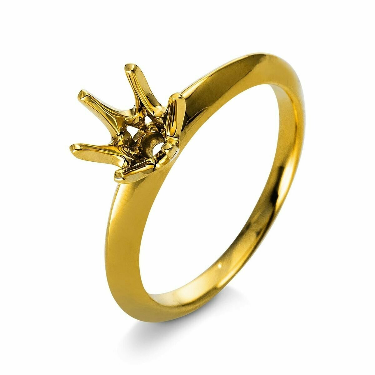 Leerfassung Ring 1AS33