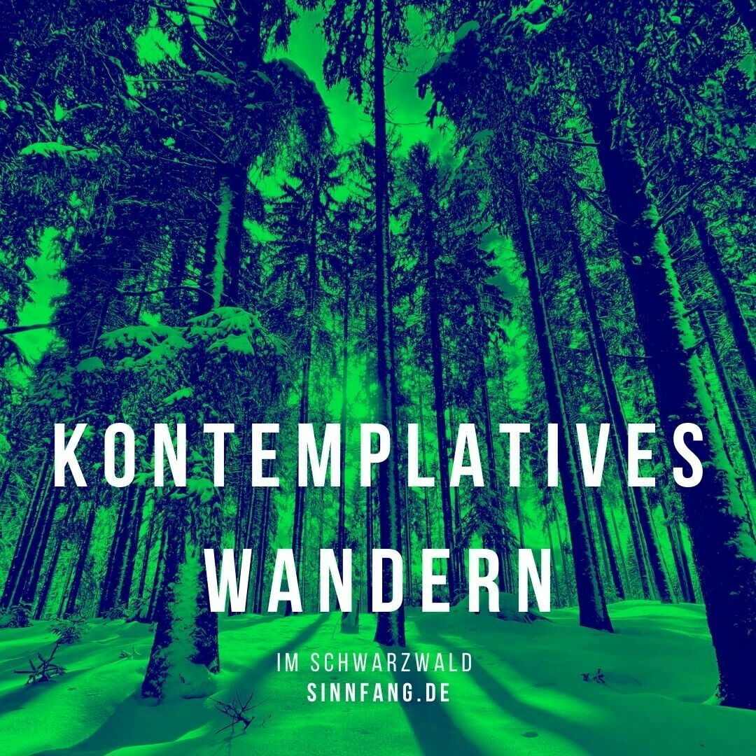 Kontemplatives Wandern im Schwarzwald. Kontemplatives Wandern im Schwarzwald.