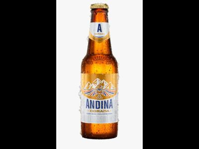 Cerveza Andina 300ml Botella