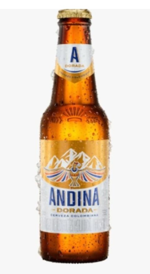 Cerveza Andina 300ml Botella