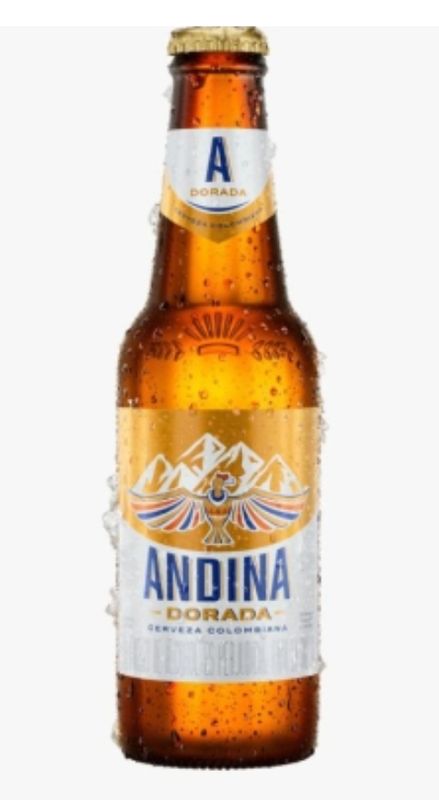 Cerveza Andina 300ml Botella