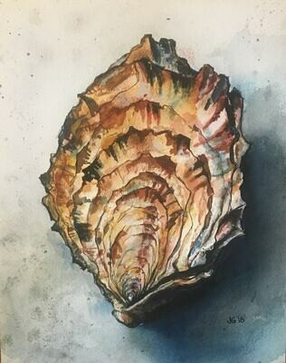 Watercolor of Oyster Shell