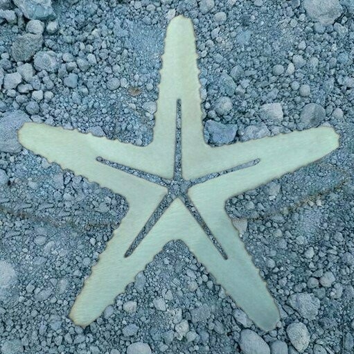 Starfish, 3mm Brushed Aluminium