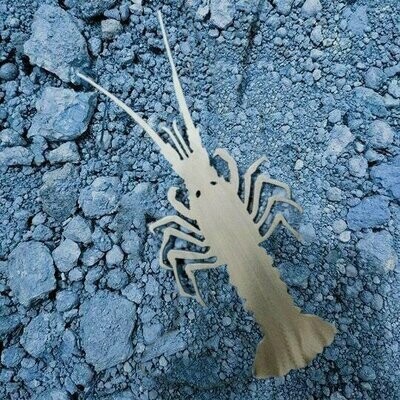Southern Rock Lobster, 3mm Brushed Aluminium