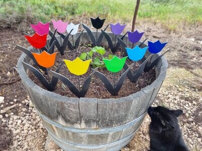 Tulip Garden Stake, 2mm Mild Steel with vinyl colour of your choice