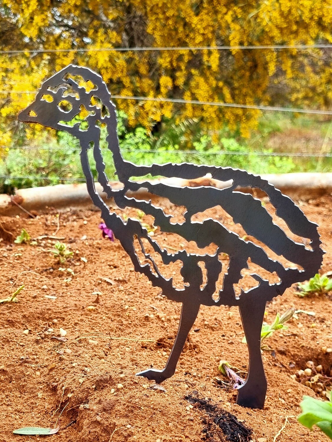 Emu Chicks Garden Stake
