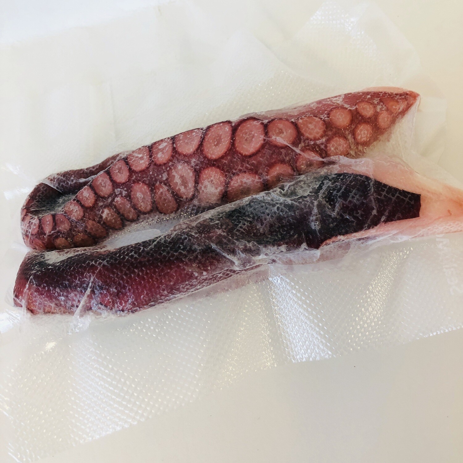 Sushi Grade Tako Octopus
