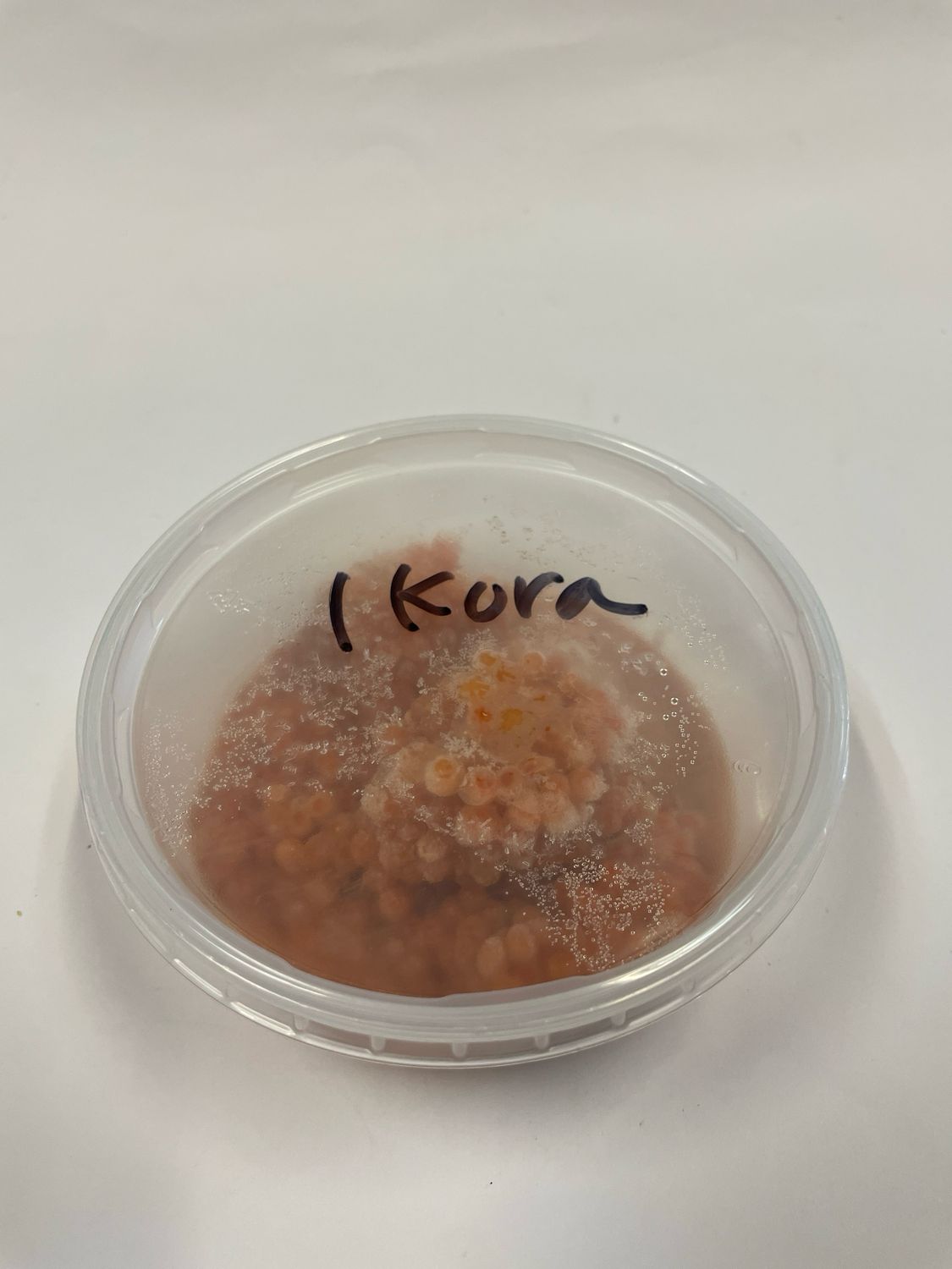 Ikura - Salmon Caviar