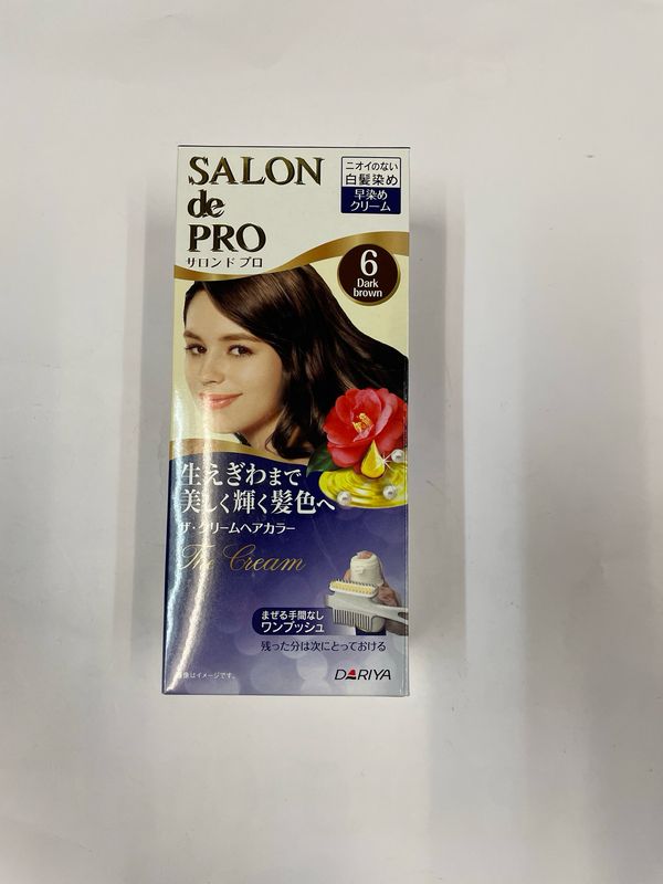 Dariya Salon de Pro Hair Color with brush #6
