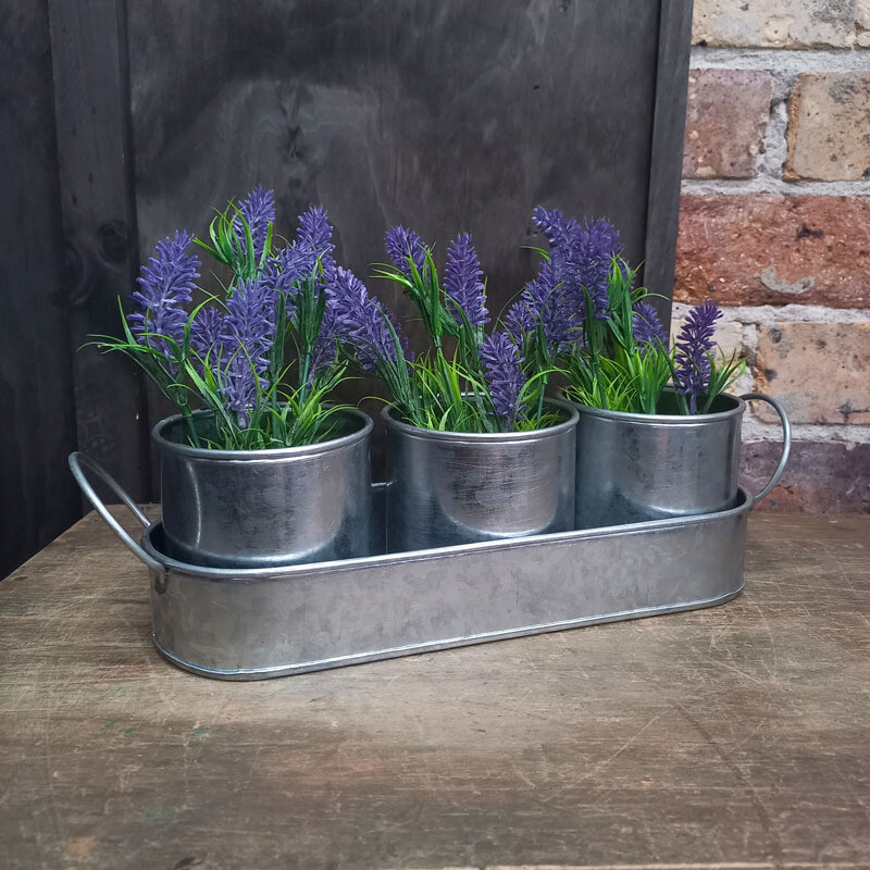 Set/3 Pots with Oval Tray Galv.