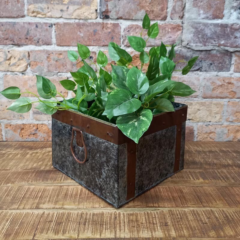 Sq Galv. Planter w/Ring Handles
