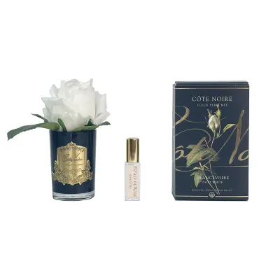 Rose Bud Black Glass - Gold Ivory White