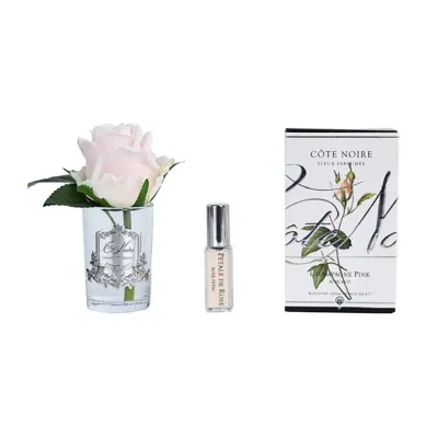 Rose Bud Clear Glass - Silver Champagne Pink