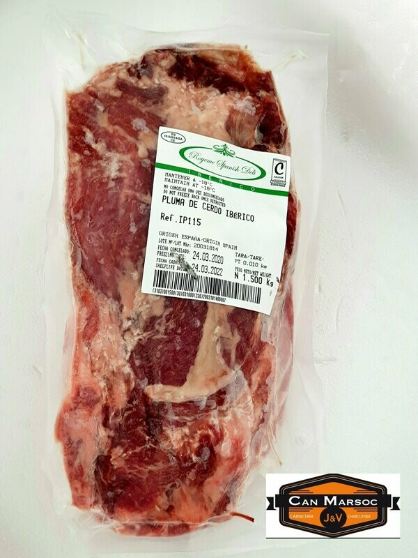 PLUMA IBERICA DE BELLOTA
