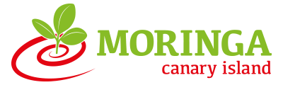 MORINGA CANARY ISLAND