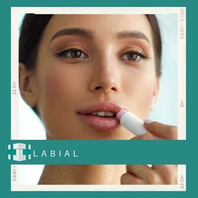 Labial