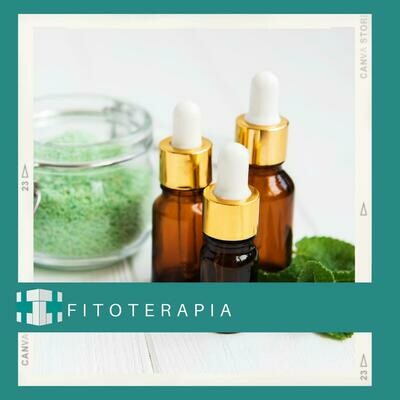 Fitoterapia