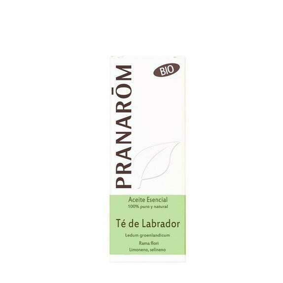 PRANAROM ACEITE ESENCIAL TE DE LABRADOR BIO 5ML