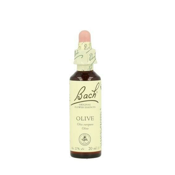 BACH 23 OLIVE 20ML