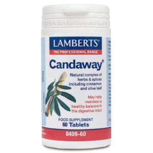 LAMBERTS CANDAWAY 60 TABLETAS