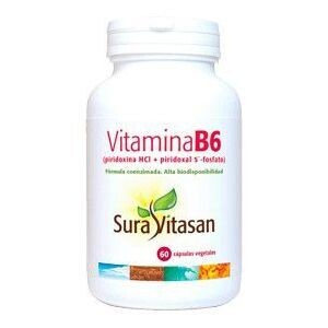 SURAVITASAN VITAMINA B6 60 CAPS