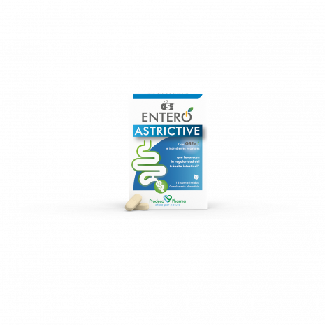 GSE ENTERO ASTRICTIVE RAPID 16 COMPRIMIDOS MASTICABLES