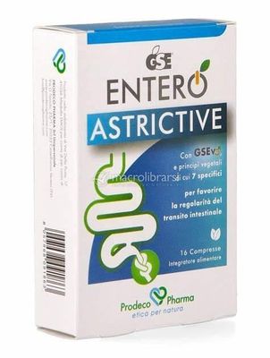 GSE ENTERO ASTRICTIVE RAPID 16 COMPRIMIDOS MASTICABLES