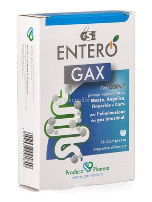 GSE ENTERO GAX RAPID 12 COMPRIMIDOS