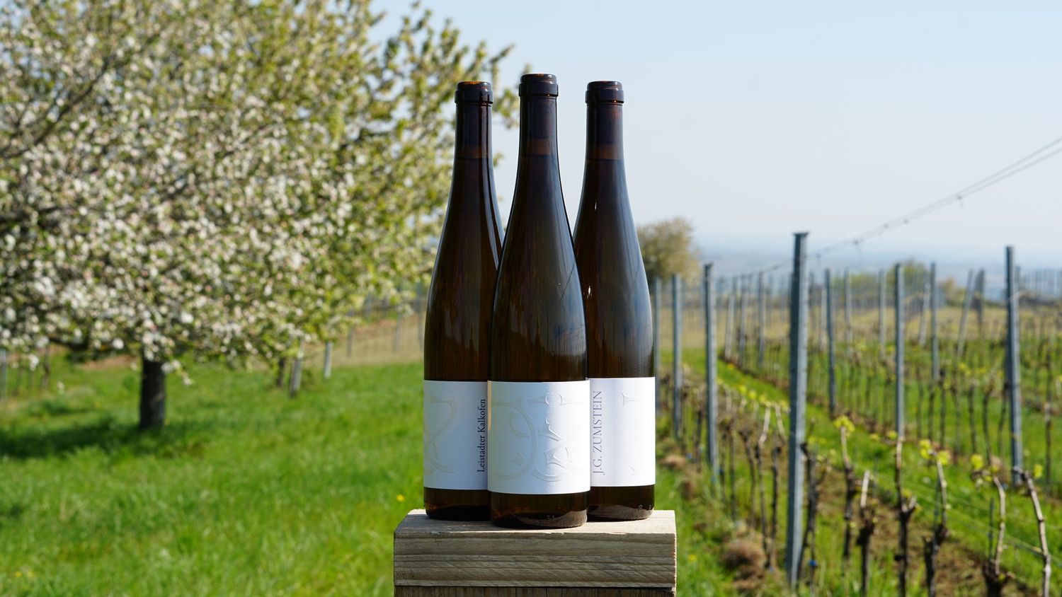 2024er LEISTADTER KALKOFEN