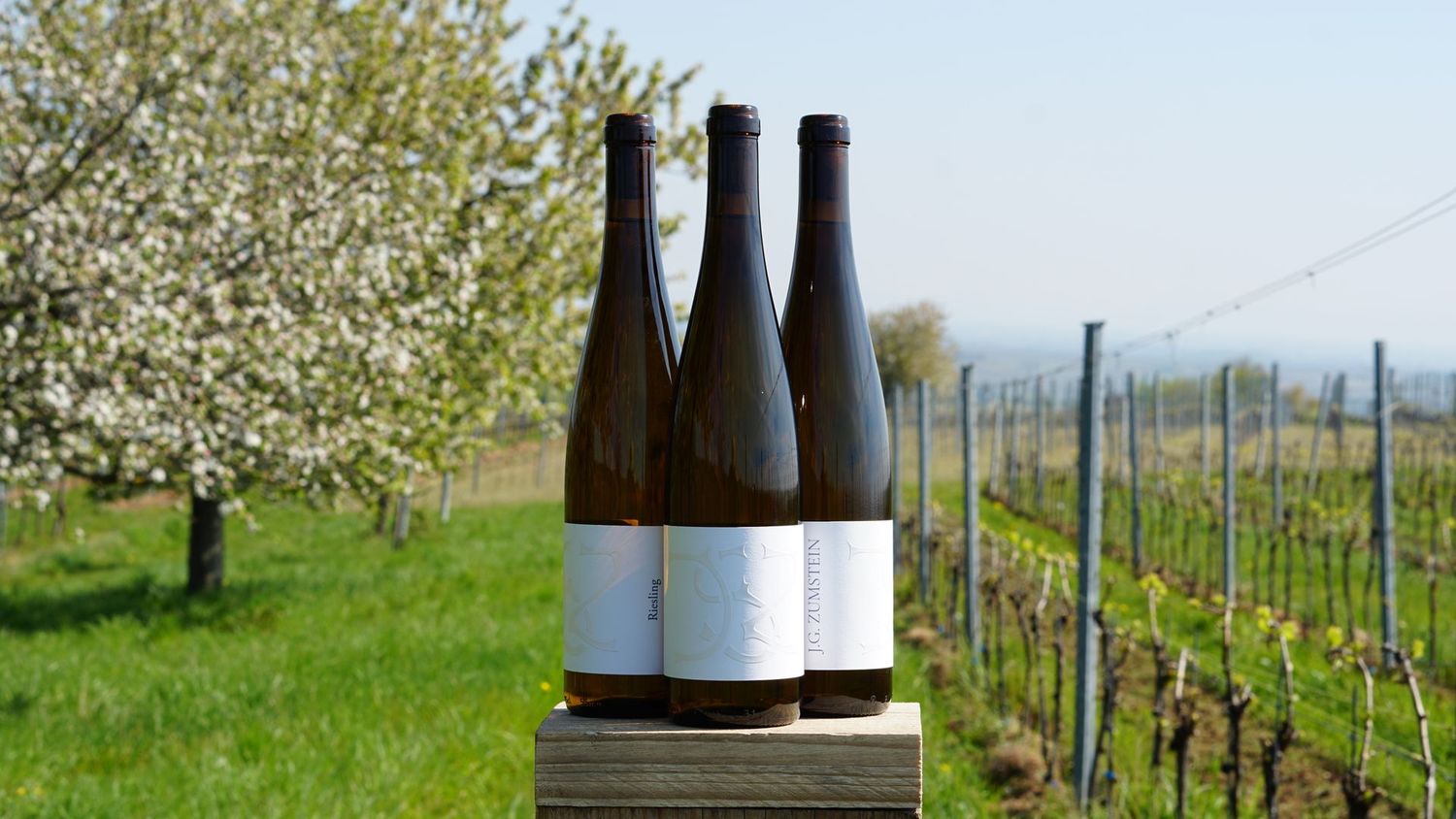 2024er RIESLING