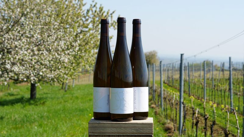 2024er CHARDONNAY 2024er CHARDONNAY